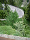 Imgp4033.jpg (57350 Byte)