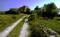  Provence (2) 