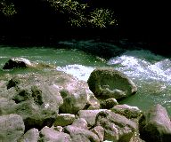  Provence (5) 