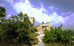  Provence (1) 