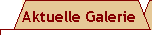  Zur aktuellen Fotogalerie 