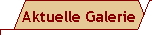  Zur aktuellen Fotogalerie 
