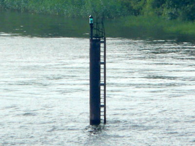 Afrikah&ouml;ft Ostseite