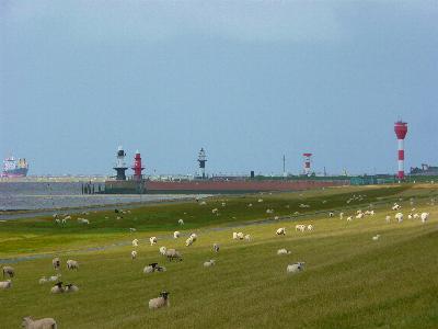 Brunsb&uuml;ttel Molenfeuer