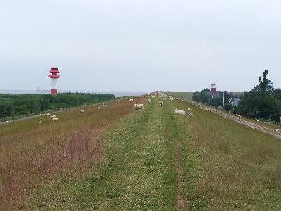 UF Brokdorf + LT Hollerwettern/alt