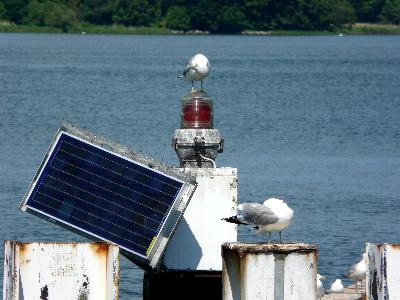 Molenfeuer Scheinwerfer