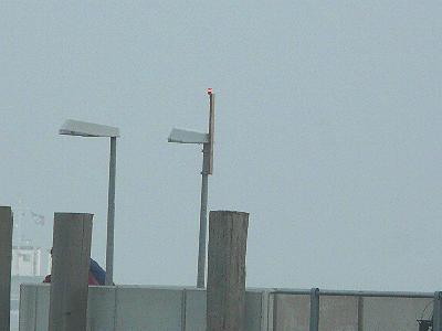 Neuharlingersiel Ostseite