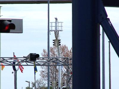 Oberfeuer Puttgarden Anleger2