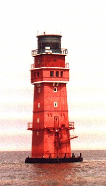 LT Robbenplate vorher