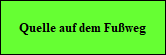 Quelle auf dem Fuweg