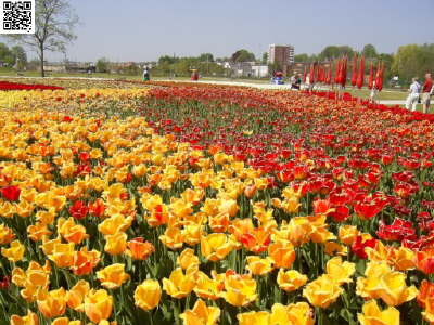 Landesgartenschau Schleswig 26