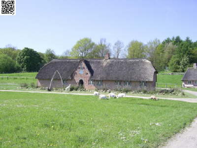 Schleswig 2008 102