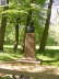 Schleswig 2008 181