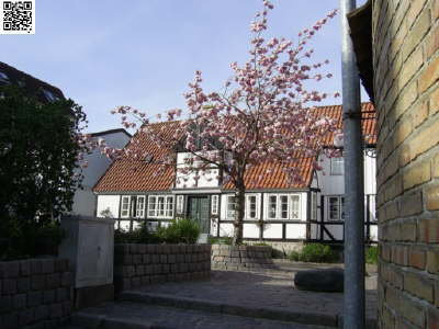 Schleswig 2008 36