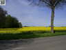 Schleswig 2008 44