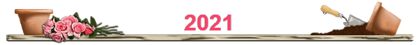 2021