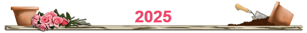 2025