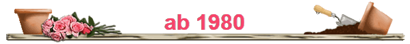 ab 1980